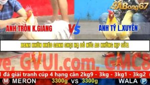 Trận 4 Bồ Gà C5 Ngày 9/11/2025