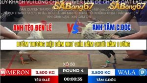 Trận 4 Bồ Gà Tonhon ngày 2/11/2025