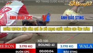 Trận 41 Bồ Gà Tonhon 28/11/2025