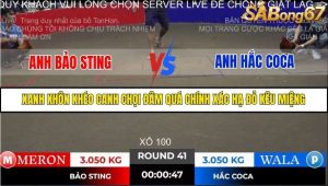 Trận 41 Bồ Gà Tonhon ngày 2/11/2025