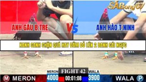 Trận 42 Bồ Gà C3 30/11/2025