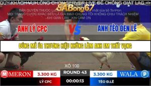 Trận 43 Bồ Gà Tonhon ngày 2/11/2025