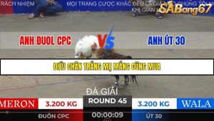 Trận 45 Bồ Gà Tonhon 28/11/2025