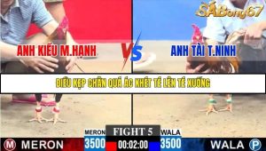 Trận 5 Bồ Gà C3 30/11/2025