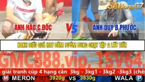 Trận 5 Bồ Gà C5 Ngày 25/11/2025