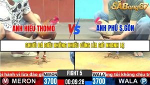 Trận 5 Bồ Gà C6 Ngày 1/11/2025