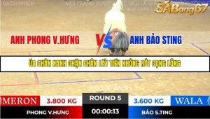 Trận 5 Bồ Gà Tonhon 14/11/2025