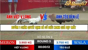 Trận 5 Bồ Gà Tonhon 28/11/2025