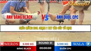 Trận 51 Bồ Gà Tonhon 14/11/2025