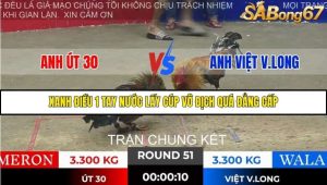 Trận 51 Bồ Gà Tonhon 28/11/2025