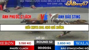 Trận 52 Bồ Gà Tonhon 28/11/2025