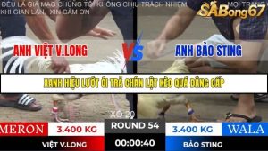 Trận 54 Bồ Gà Tonhon 28/11/2025