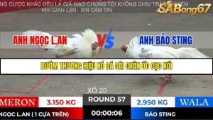 Trận 57 Bồ Gà Tonhon 28/11/2025