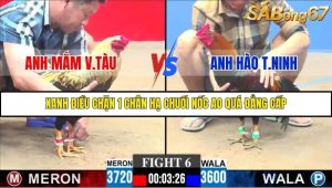 Trận 6 Bồ Gà C3 30/11/2025