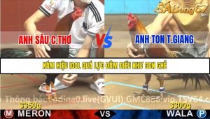 Trận 6 Bồ Gà C4 Ngày 20/11/2025