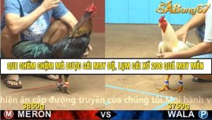 Trận 6 Bồ Gà C4 Ngày 25/11/2025