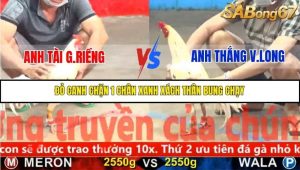Trận 6 Bồ Gà C5 Ngày 10/11/2025