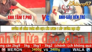 Trận 6 Bồ Gà C5 Ngày 20/11/2025