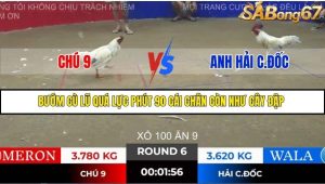 Trận 6 Bồ Gà Tonhon 28/11/2025