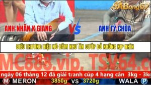 Trận 7 Bồ Gà C5 Ngày 25/11/2025