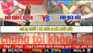 Trận 7 Bồ Gà C5 Ngày 26/11/2025