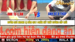 Trận 7 Bồ Gà C5 Ngày 8/11/2025