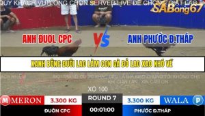 Trận 7 Bồ Gà Tonhon 28/11/2025