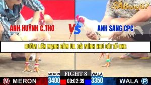 Trận 8 Bồ Gà C3 30/11/2025