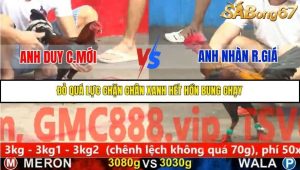 Trận 8 Bồ Gà C5 Ngày 11/11/2025