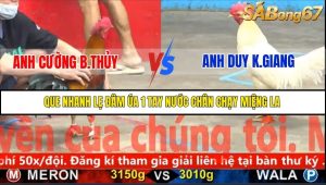 Trận 8 Bồ Gà C5 Ngày 26/11/2025