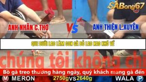 Trận 9 Bồ Gà C5 Ngày 11/11/2025