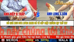 Trận 12 Bồ Gà C5 2/12/2025