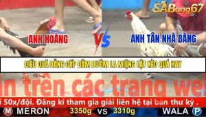 Trận 13 Bồ Gà C5 Ngày 1/12/2025