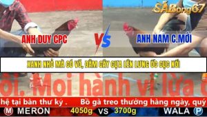 Trận 14 Bồ Gà C5 Ngày 1/12/2025