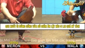 Trận 15 Bồ Gà C4 2/12/2025