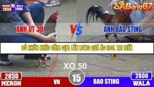 Trận 15 Bồ Gà Tonhon 3/12/2025