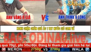 Trận 16 Bồ Gà C5 2/12/2025