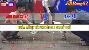 Trận 16 Bồ Gà Tonhon 3/12/2025