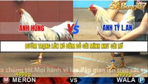 Trận 17 Bồ Gà C4 1/12/2025