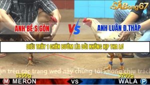 Trận 18 Bồ Gà C4 1/12/2025