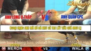 Trận 18 Bồ Gà C4 2/12/2025