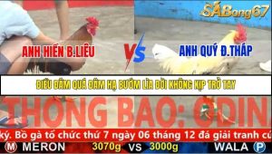 Trận 18 Bồ Gà C5 1/12/2025