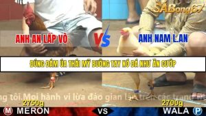 Trận 19 Bồ Gà C4 2/12/2025