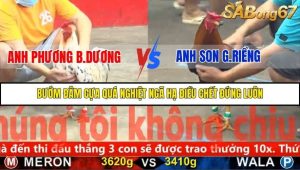 Trận 20 Bồ Gà C5 1/12/2025