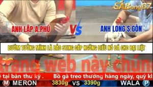 Trận 20 Bồ Gà C5 2/12/2025