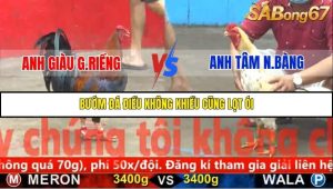 Trận 21 Bồ Gà C5 1/12/2025