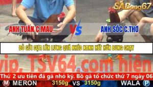 Trận 21 Bồ Gà C5 2/12/2025