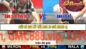 Trận 22 Bồ Gà C5 6/12/2025