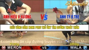 Trận 23 Bồ Gà C4 2/12/2025