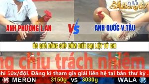 Trận 23 Bồ Gà C5 1/12/2025